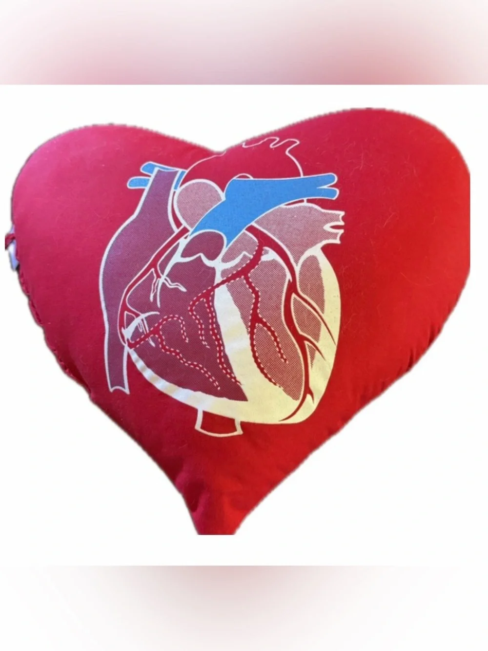 Heart-Shaped Red Pillow with Anatomical Heart Graphic